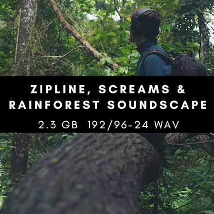 New Rainforest Album inside the Bandcamp Category!